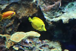 zoo-bochum-zoo-2015-03-28-227