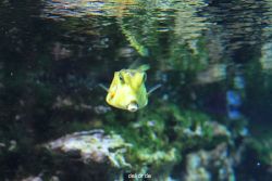 zoo-bochum-zoo-2015-03-28-229