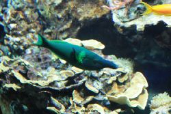 zoo-bochum-zoo-2015-03-28-234