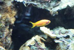 zoo-bochum-zoo-2015-03-28-240