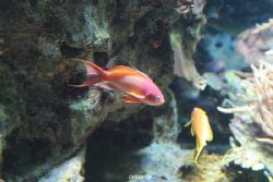 zoo-bochum-zoo-2015-03-28-243