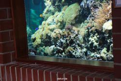 zoo-bochum-zoo-2015-03-28-245