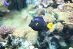 zoo-bochum-zoo-2015-03-28-247