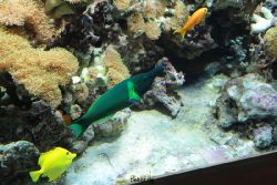 zoo-bochum-zoo-2015-03-28-251