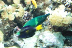 zoo-bochum-zoo-2015-03-28-252
