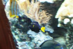 zoo-bochum-zoo-2015-03-28-253