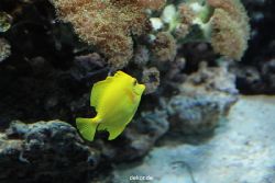 zoo-bochum-zoo-2015-03-28-254