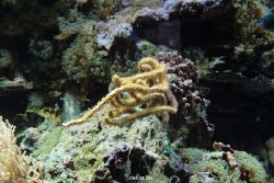 zoo-bochum-zoo-2015-03-28-258
