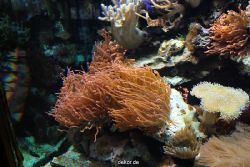 zoo-bochum-zoo-2015-03-28-263