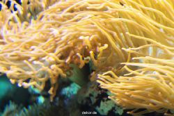 zoo-bochum-zoo-2015-03-28-269