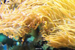 zoo-bochum-zoo-2015-03-28-270