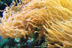 zoo-bochum-zoo-2015-03-28-272