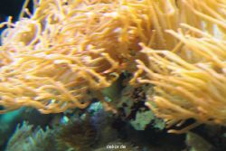 zoo-bochum-zoo-2015-03-28-273