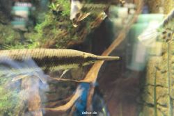 zoo-bochum-zoo-2015-03-28-283