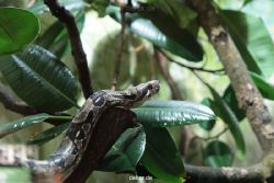zoo-bochum-zoo-2015-03-28-286