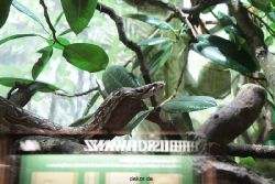 zoo-bochum-zoo-2015-03-28-290