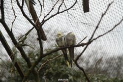 zoo-bochum-zoo-2015-03-28-314
