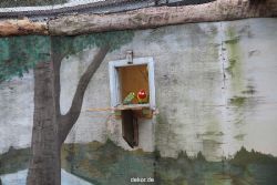 zoo-bochum-zoo-2015-03-28-318