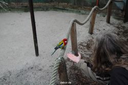 zoo-bochum-zoo-2015-03-28-319