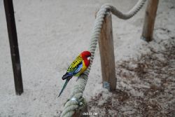 zoo-bochum-zoo-2015-03-28-320