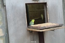 zoo-bochum-zoo-2015-03-28-321