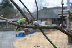 zoo-bochum-zoo-2015-03-28-323