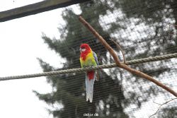 zoo-bochum-zoo-2015-03-28-326