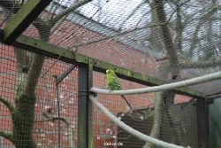 zoo-bochum-zoo-2015-03-28-327