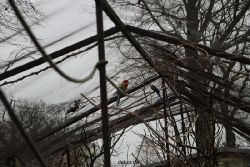 zoo-bochum-zoo-2015-03-28-329