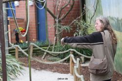 zoo-bochum-zoo-2015-03-28-343