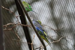 zoo-bochum-zoo-2015-03-28-349