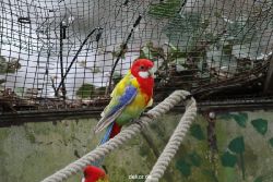zoo-bochum-zoo-2015-03-28-360