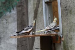 zoo-bochum-zoo-2015-03-28-361
