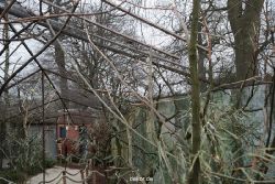 zoo-bochum-zoo-2015-03-28-368