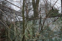 zoo-bochum-zoo-2015-03-28-369