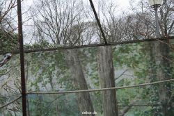 zoo-bochum-zoo-2015-03-28-371