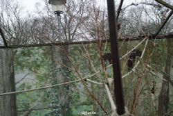 zoo-bochum-zoo-2015-03-28-372