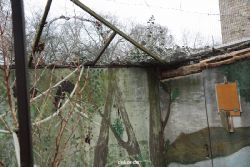 zoo-bochum-zoo-2015-03-28-373