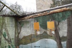 zoo-bochum-zoo-2015-03-28-374