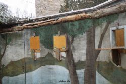 zoo-bochum-zoo-2015-03-28-375
