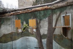 zoo-bochum-zoo-2015-03-28-376