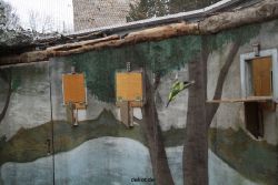 zoo-bochum-zoo-2015-03-28-377