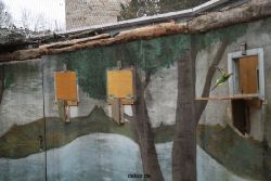 zoo-bochum-zoo-2015-03-28-378