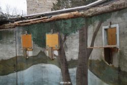 zoo-bochum-zoo-2015-03-28-379