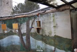 zoo-bochum-zoo-2015-03-28-382