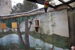 zoo-bochum-zoo-2015-03-28-383