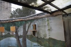 zoo-bochum-zoo-2015-03-28-384