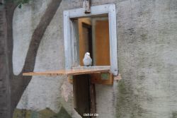 zoo-bochum-zoo-2015-03-28-385
