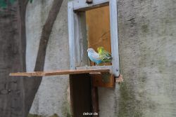 zoo-bochum-zoo-2015-03-28-390