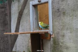 zoo-bochum-zoo-2015-03-28-392